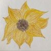 sunflowerch1ld